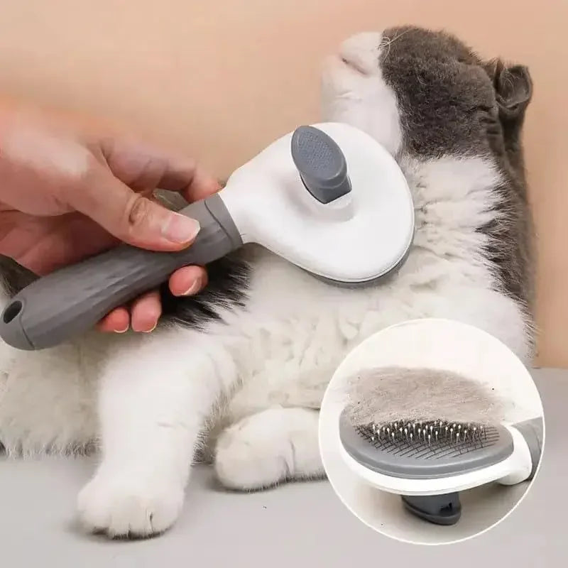 GROOMING & HYGIENE